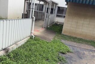 建物間の通路：作業前